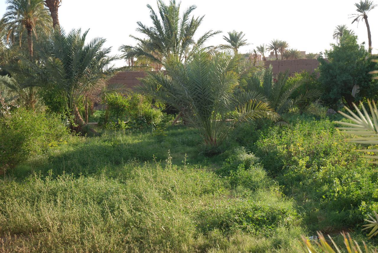D'Hote Jnane-Dar Diafa Tamgrout Exteriér fotografie